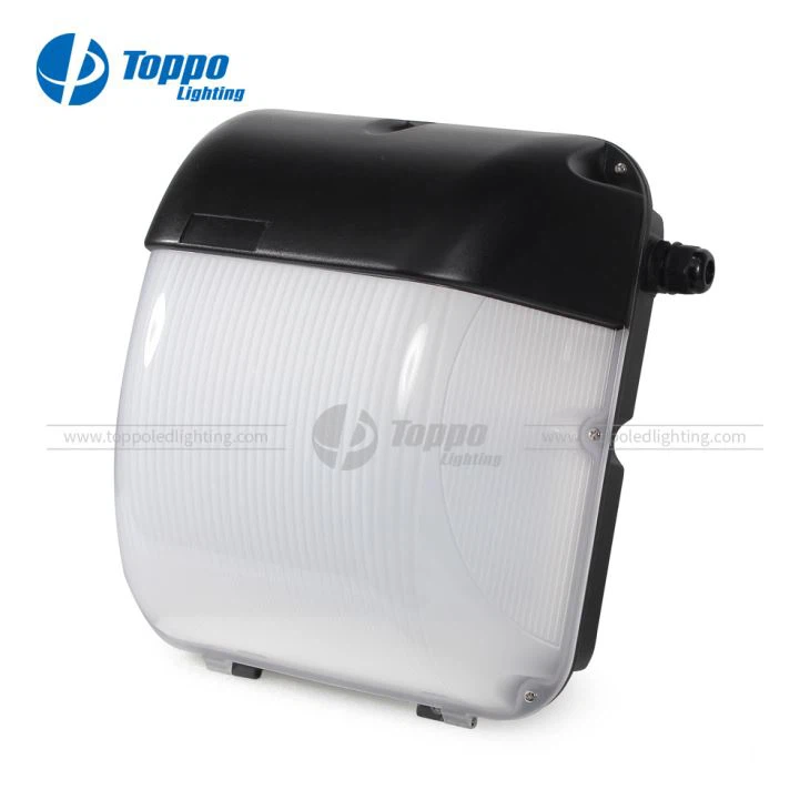 تین رنگ IP65 IK08 ایل ای ڈی وال پیک